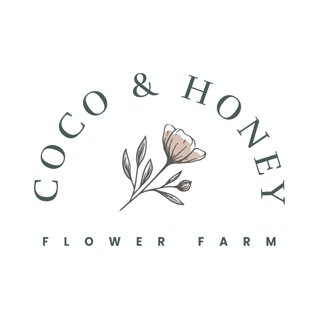 Coco and Honey Flower Farm | 99 Richter Rd, Monash SA 5342, Australia | Phone: 0409 937 707