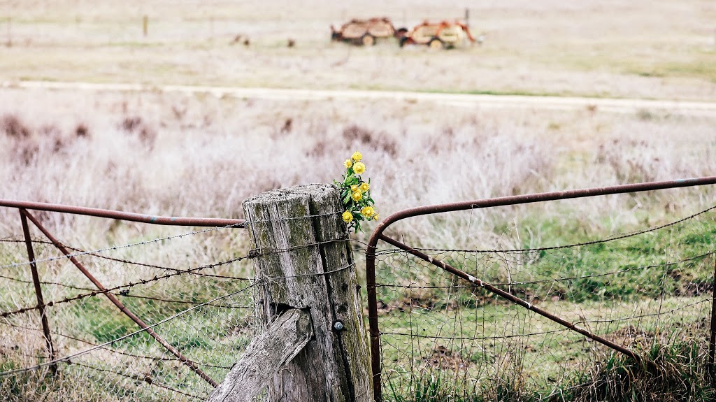 Ray White Bordertown & Districts | 62 Woolshed St, Bordertown SA 5268, Australia | Phone: (08) 8752 1933