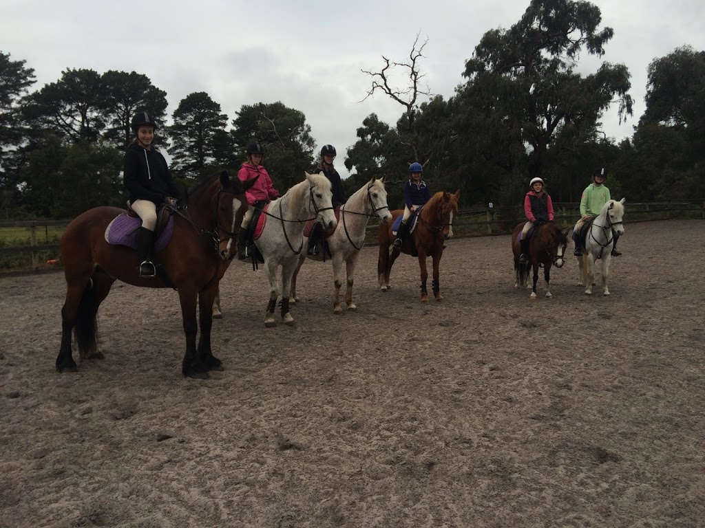 Tranquil Park Stables | 168 Browns Rd, Cranbourne South VIC 3977, Australia | Phone: 0418 170 984