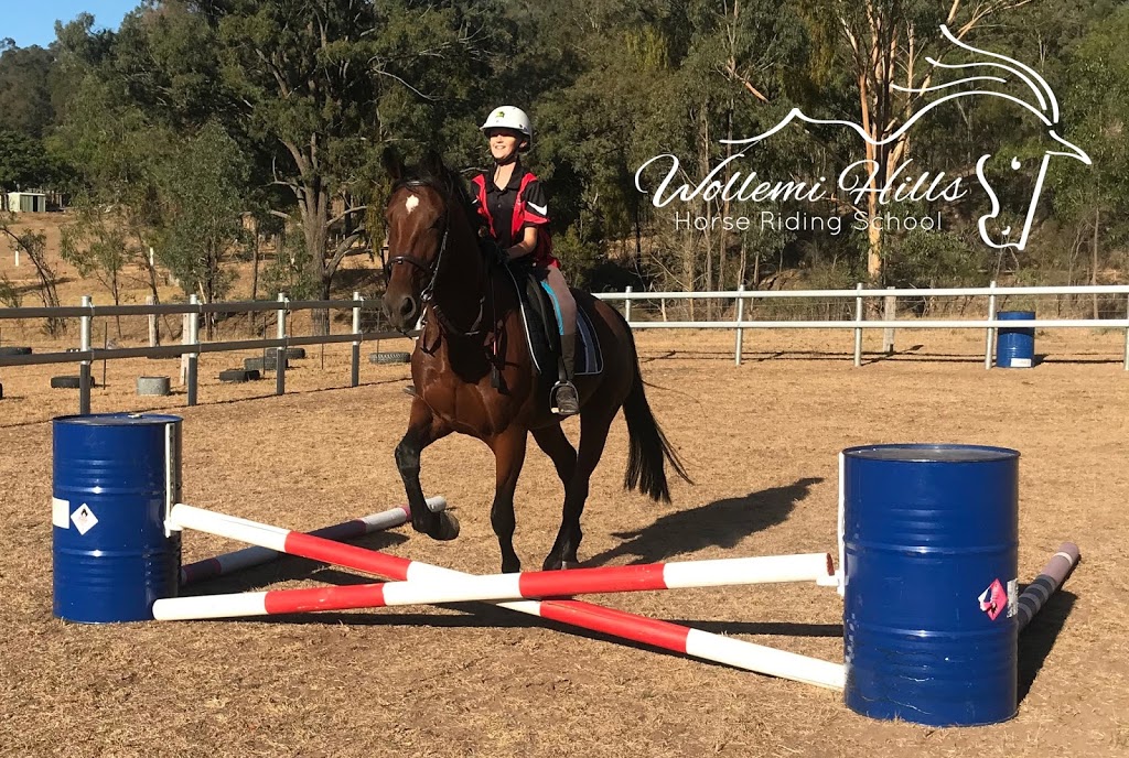 Wollemi Hills Horse Riding School |  | 245A The Inlet Rd, Bulga NSW 2330, Australia | 0435931022 OR +61 435 931 022