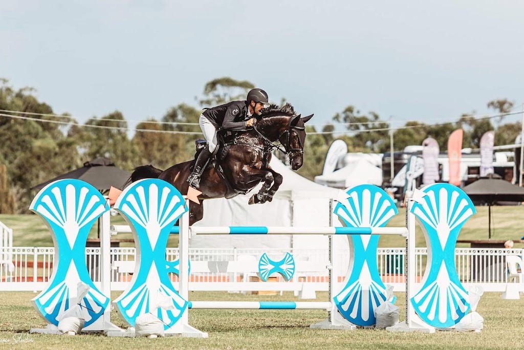 Riverton Performance Horses | 40 Bobs Range Rd, Orangeville NSW 2570, Australia | Phone: 0408 333 659