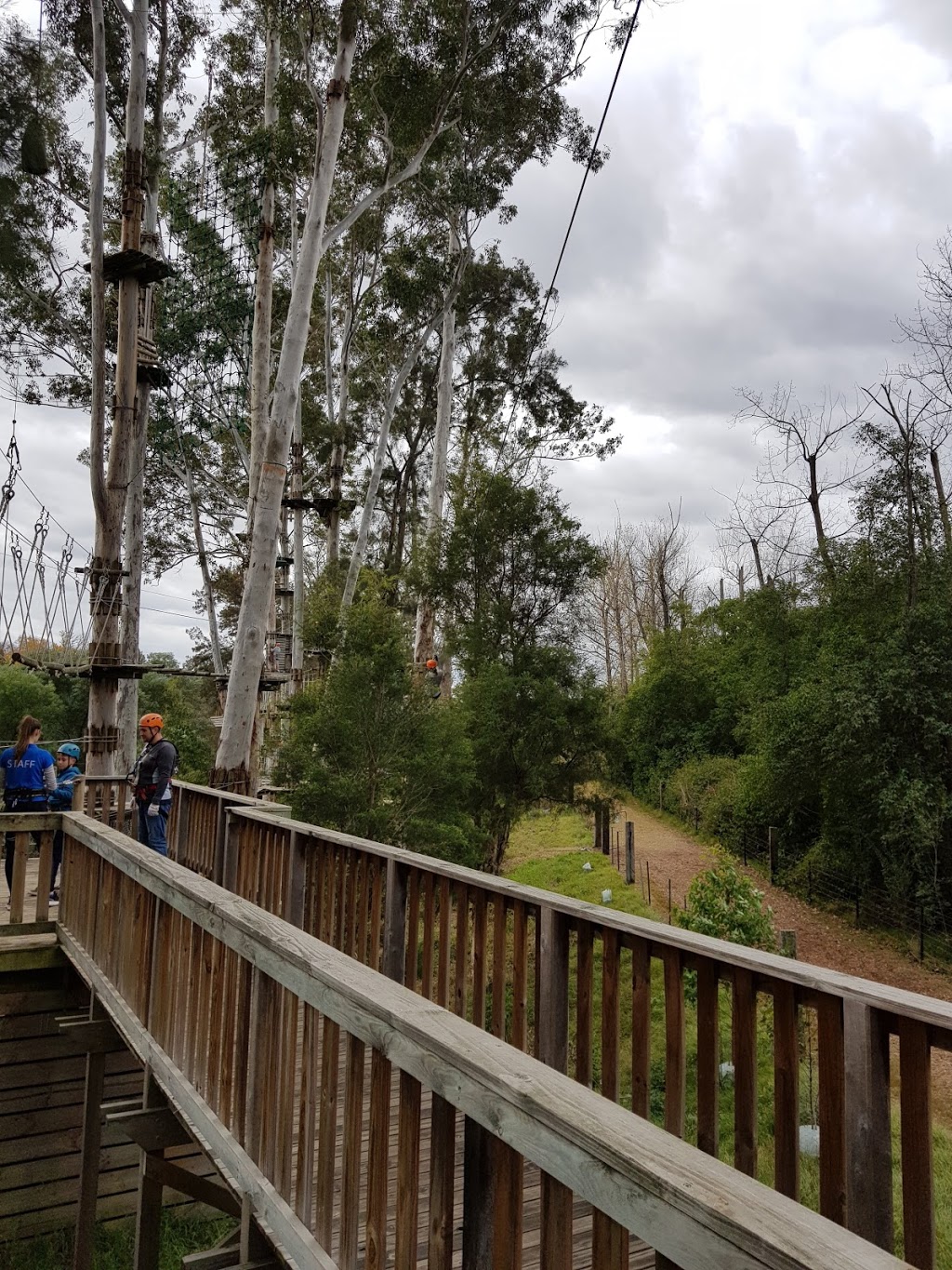 Trees Adventure - Grose River Park | 200 Springwood Rd, Yarramundi NSW 2753, Australia | Phone: (02) 4776 1226