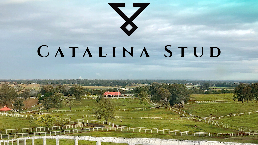 Catalina Stud |  | 165 Grose Vale Rd, North Richmond NSW 2754, Australia | 0455888171 OR +61 455 888 171