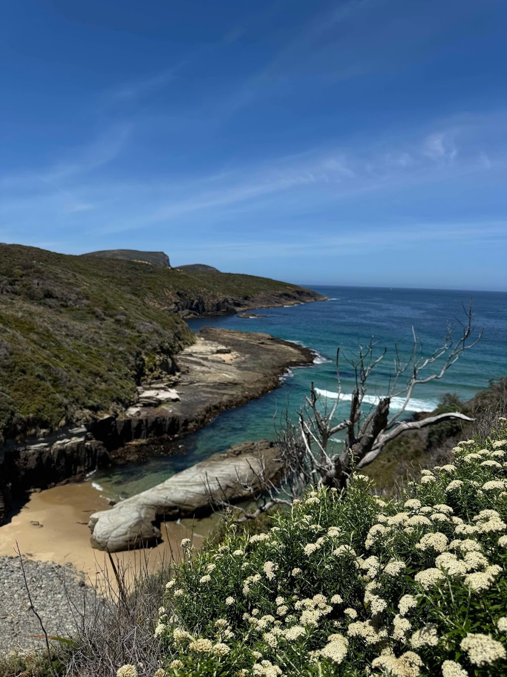 Tas Grace Sanctuary | 1583 Nubeena Rd, Nubeena TAS 7184, Australia | Phone: 0412 190 909