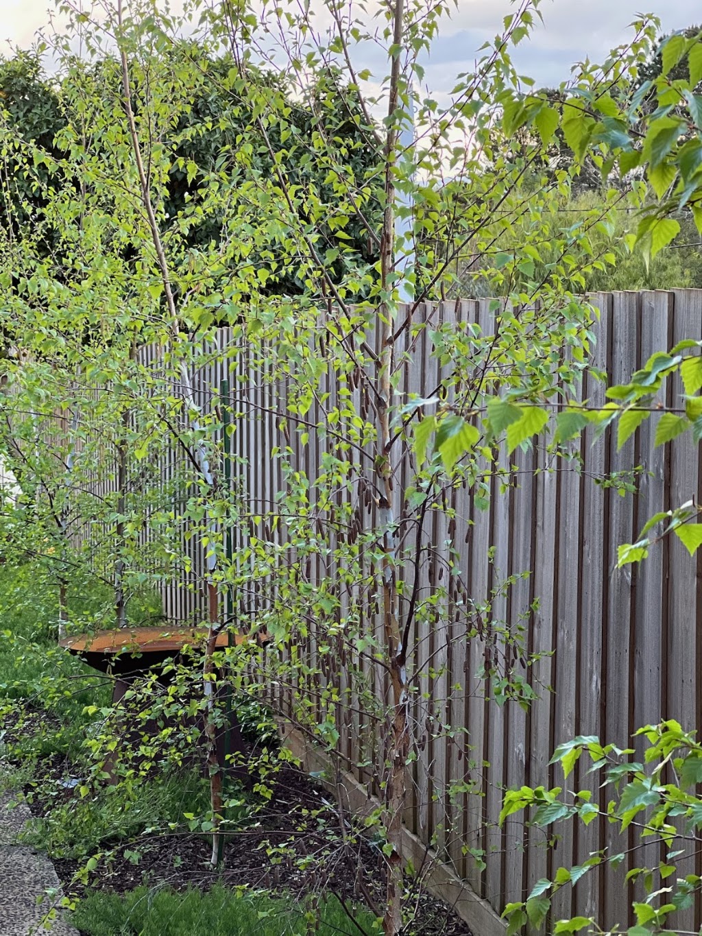 Altar Landscape Construction | 9 Queens Rd, Silvan VIC 3795, Australia | Phone: 0439 481 953
