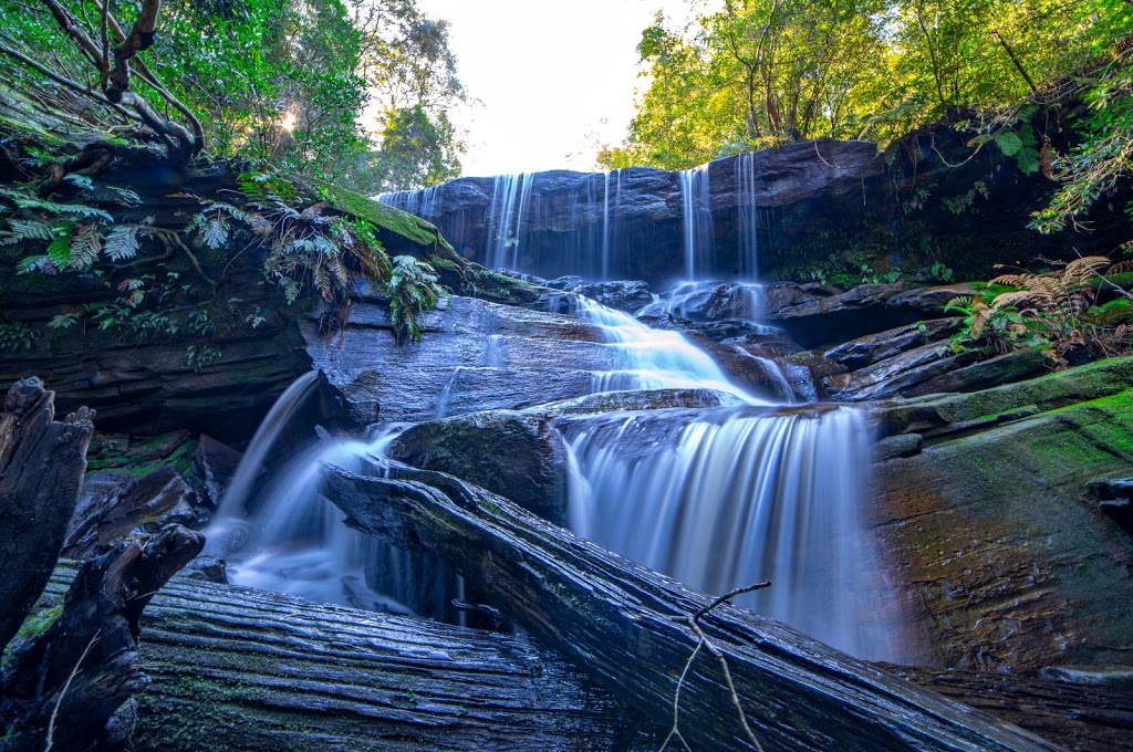 Somersby Falls picnic area | Somersby Falls Rd, Somersby NSW 2250, Australia | Phone: (02) 4320 4200