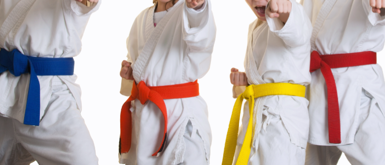 Team Martial Arts Bardia | Arthur Allen Dr, Bardia NSW 2565, Australia | Phone: 0413 146 301