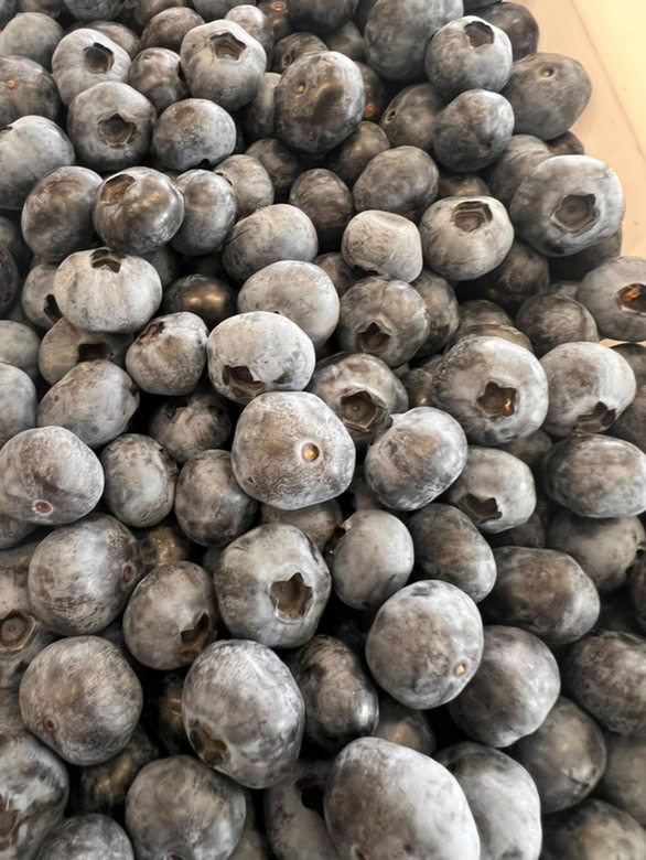 Cedarwood Blueberries | 371 Nierinna Rd, Margate TAS 7054, Australia | Phone: 0488 013 293