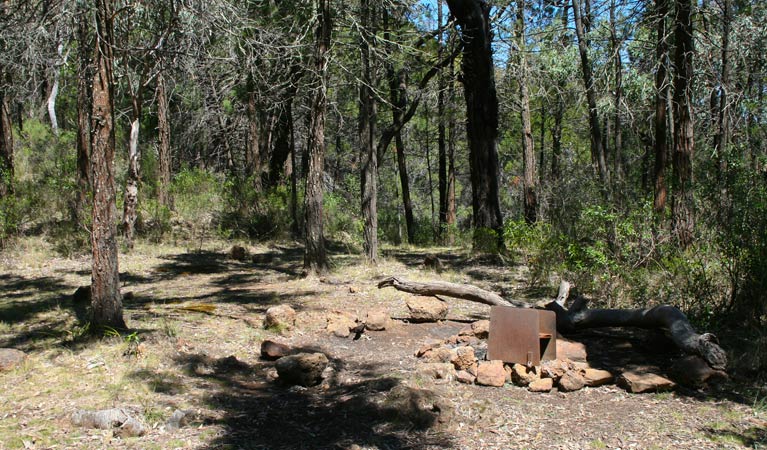 Ogma Gap campground | Western High Tops Track, Tonderburine NSW 2828, Australia | Phone: (02) 6825 4364