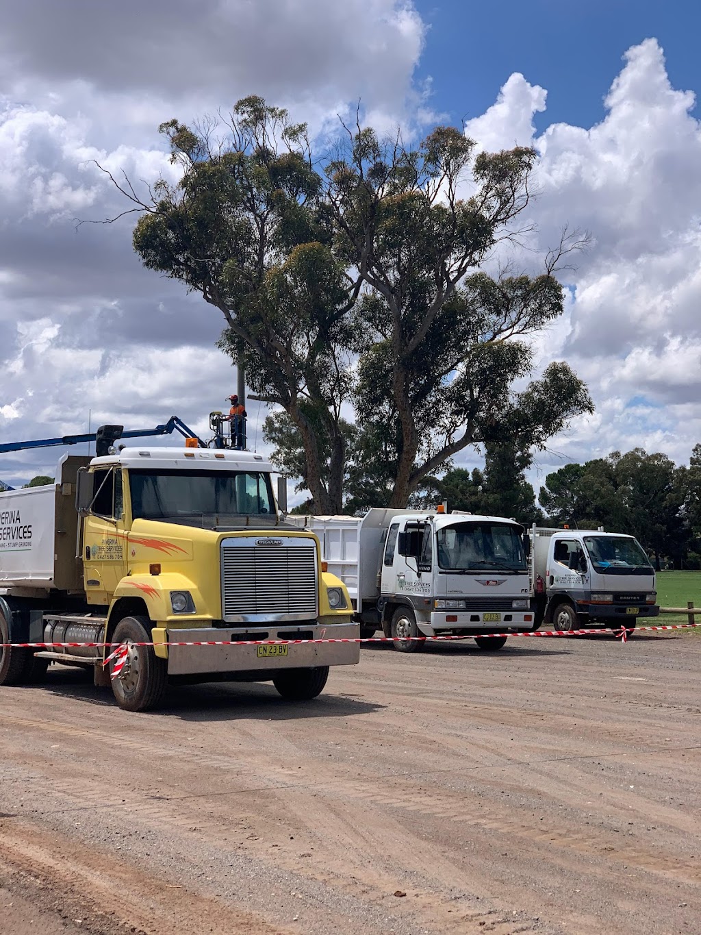 Riverina Tree Services | 17 Red Gum Dr, Leeton NSW 2705, Australia | Phone: 0427 536 709