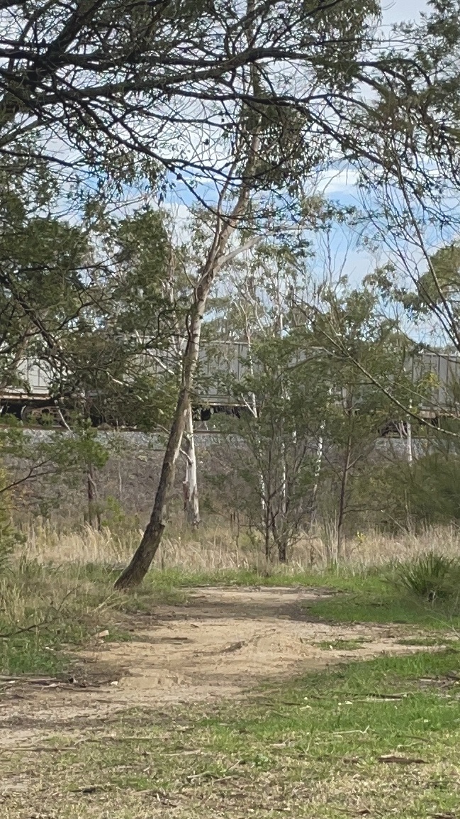 Nattai Ponds Playground | Isedale Rd, Braemar NSW 2575, Australia | Phone: (02) 4868 0888