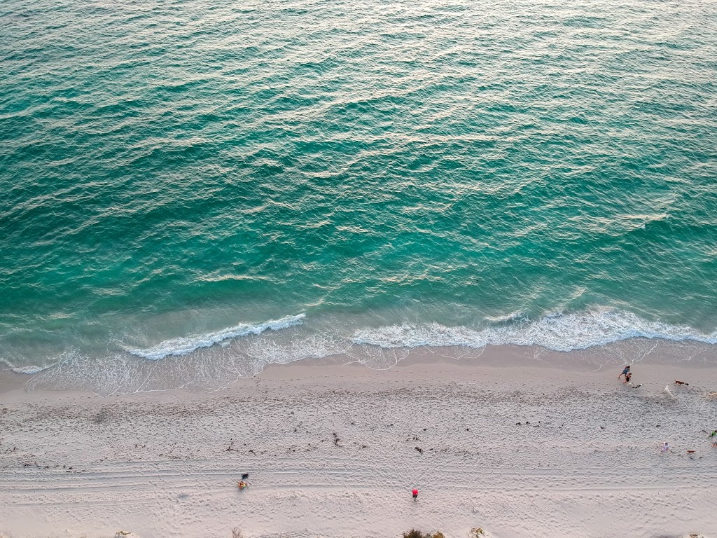 Animal Exercise Beach | Hillarys WA 6025, Australia