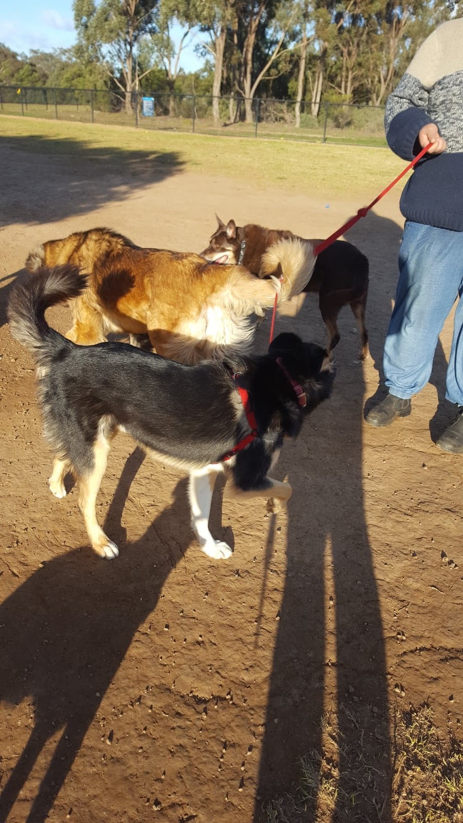 Werribee Off Lead Dog Park | Wyndham Vale VIC 3024, Australia