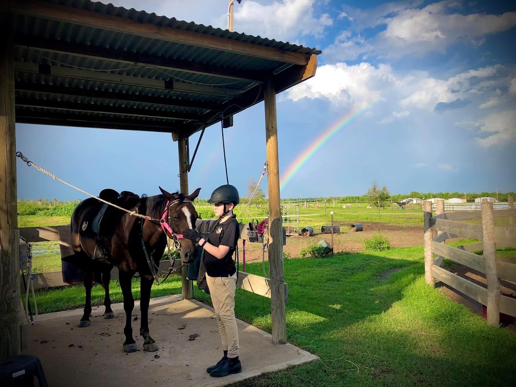 CONCISE EQUESTRIAN CENTRE | 160 Bells Rd, Palmyra QLD 4751, Australia | Phone: 0427 463 057