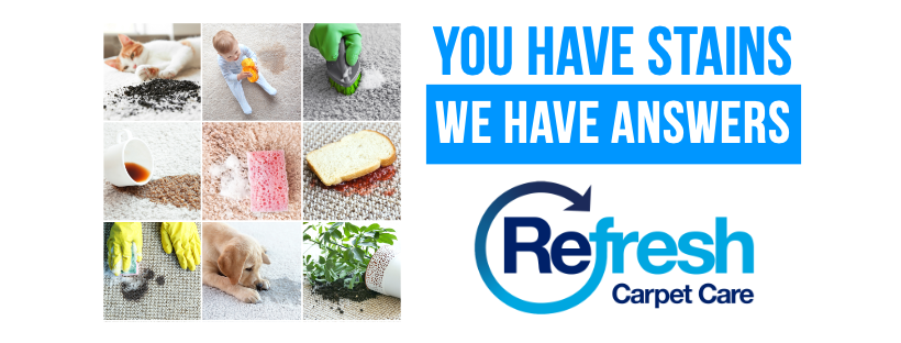 Refresh Carpet Care Adelaide | 9 Burstall Ct, Parafield Gardens SA 5107, Australia | Phone: 0413 086 270