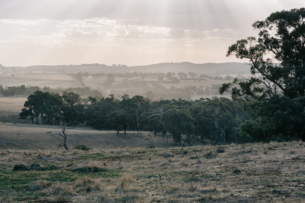 Big Tree Distillery |  | 307 Hennerbergs Rd, Newham VIC 3442, Australia | 1300040573 OR +61 1300 040 573