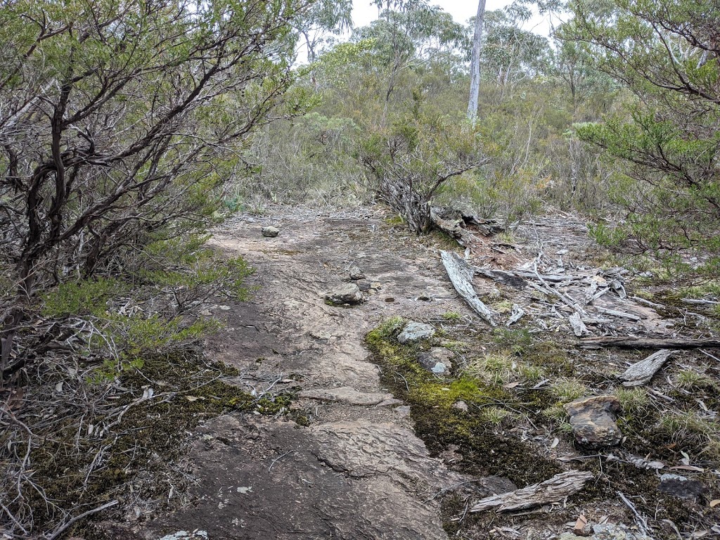 Lyrebird Walking track | park | Brinerville NSW 2454, Australia