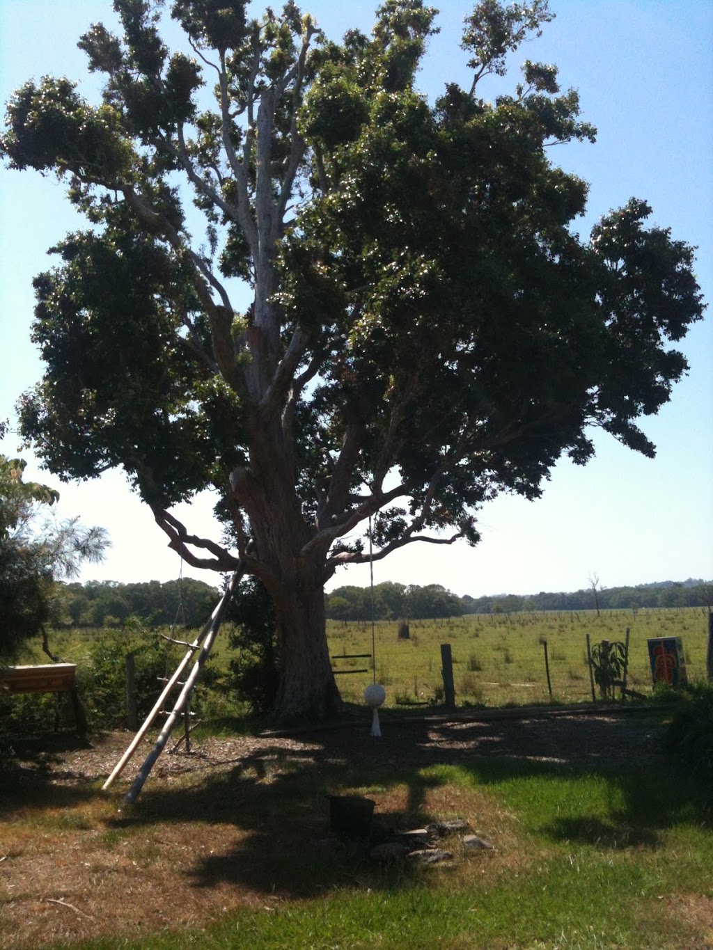 Shearwater The Mullumbimby Steiner School | school | 349 Left Bank Rd, Mullumbimby Creek NSW 2482, Australia | 0266843223 OR +61 2 6684 3223