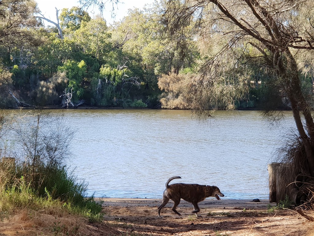 Watson Reserve | park | 141 Pratt Rd, Eaton WA 6232, Australia