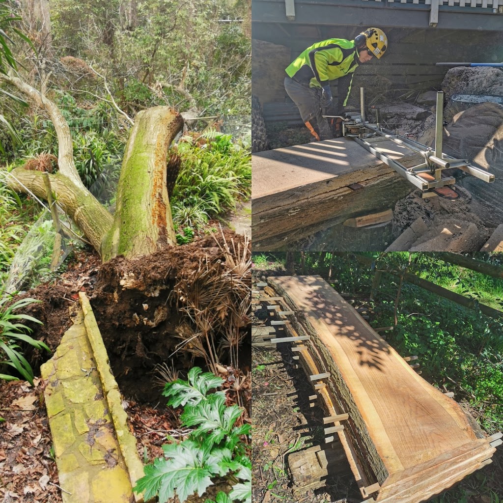 Superb Tree Care | 57 Kilvington Dr, Emerald VIC 3782, Australia | Phone: (03) 9804 7369