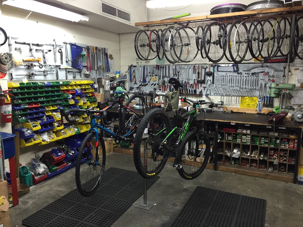 Bicycle Workshop | bicycle store | 68 Charter St, Ringwood VIC 3134, Australia | 0398792883 OR +61 3 9879 2883
