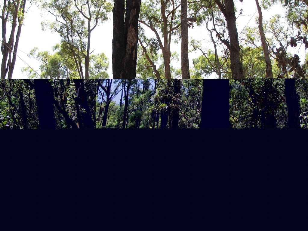Treetops Adventure Dwellingup | tourist attraction | Lane Poole Reserve, Off Nanga Rd, Dwellingup WA 6213, Australia | 0894634063 OR +61 8 9463 4063