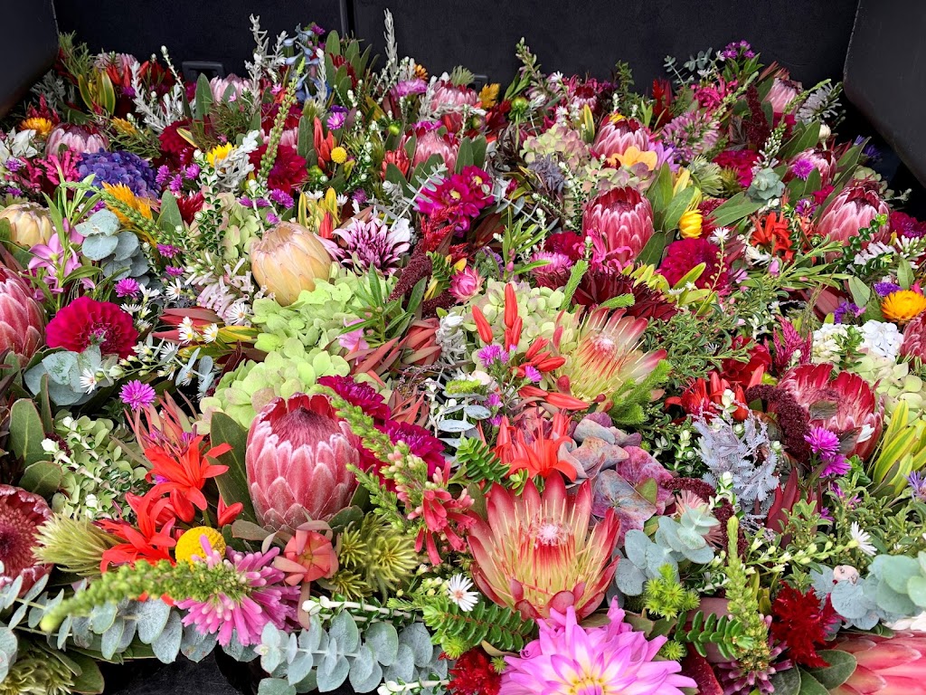 STRZELECKI FLOWERS | 308 Mirboo-Yarragon Rd, Allambee Reserve VIC 3871, Australia | Phone: 0459 063 322