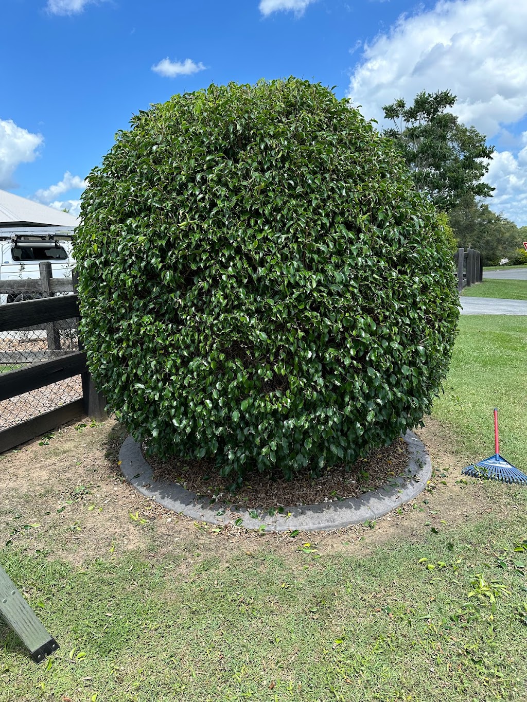 Mow Me Now | 13-15 Manikato Cl, Glenlogan QLD 4280, Australia | Phone: 0422 871 367