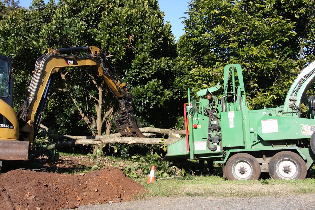 Byron Bay Tree Services |  | 3 Lofts Rd, Coorabell NSW 2479, Australia | 0402364852 OR +61 402 364 852