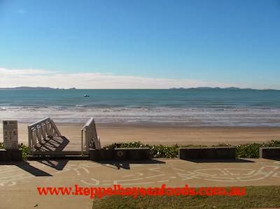 Keppel Bay Seafoods | restaurant | 1 Normanby St, Yeppoon QLD 4703, Australia | 0749393777 OR +61 7 4939 3777