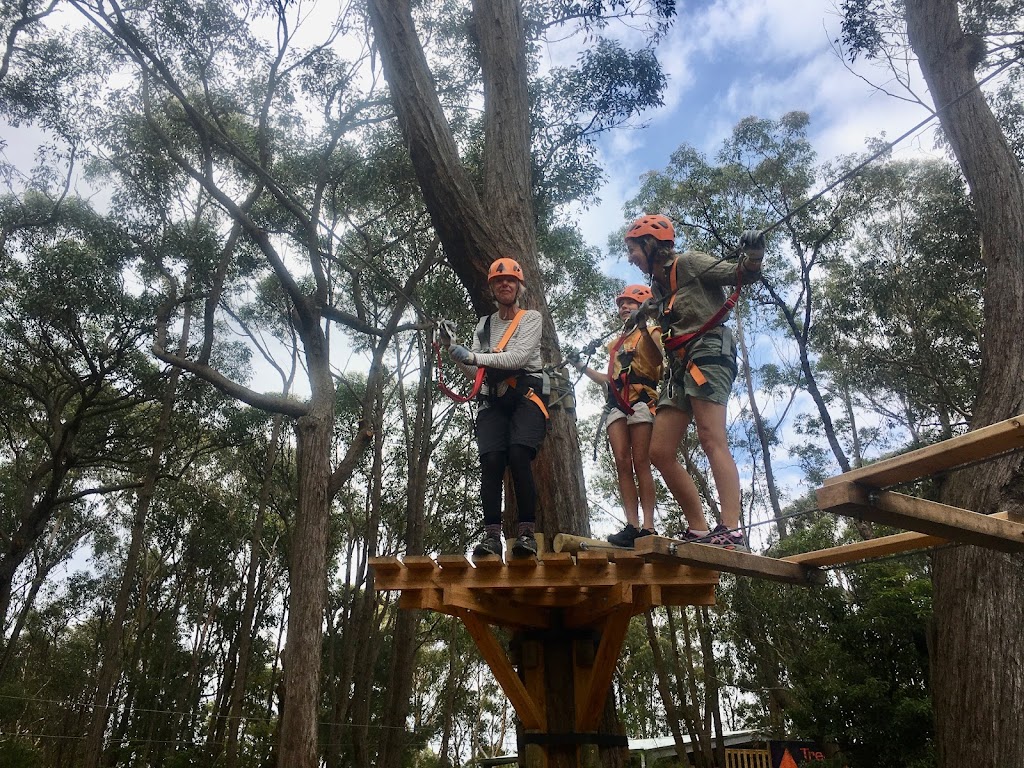 Treetops Adventure St Ives | 450 Mona Vale Rd, St Ives NSW 2075, Australia | Phone: (02) 8417 8064