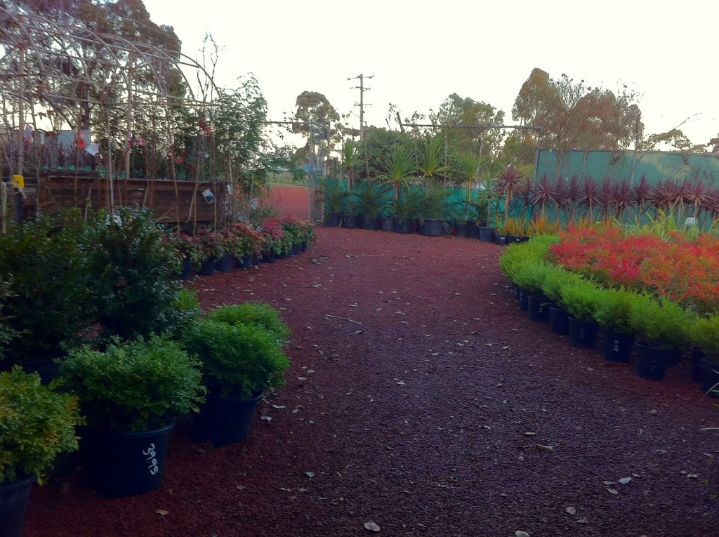 Rockbank Nursery | store | 2341 Western Highway, Rockbank VIC 3335, Australia | 0397471860 OR +61 3 9747 1860