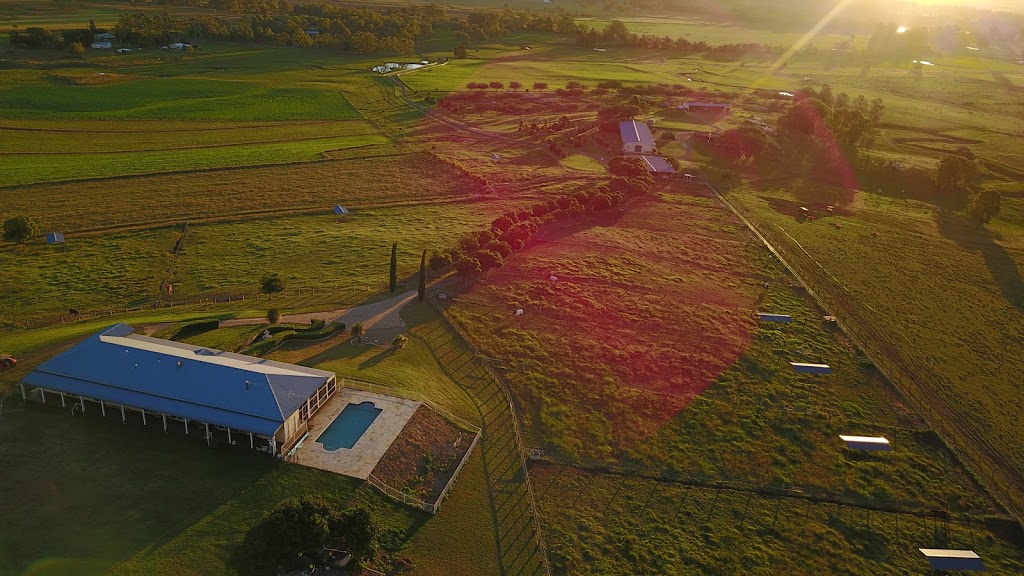 Christmas Creek Thoroughbreds | 847 Christmas Creek Rd, Christmas Creek QLD 4285, Australia | Phone: 0448 206 448