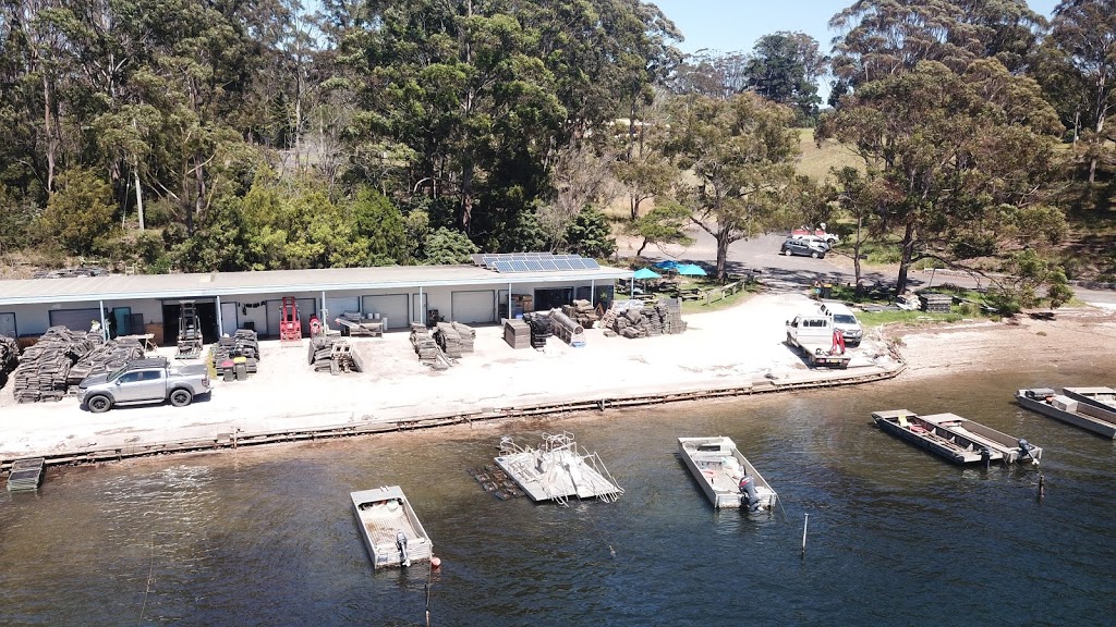 Pambula Oyster Co. | Shed 5/52 Landing Rd, Broadwater NSW 2549, Australia | Phone: 0402 760 647