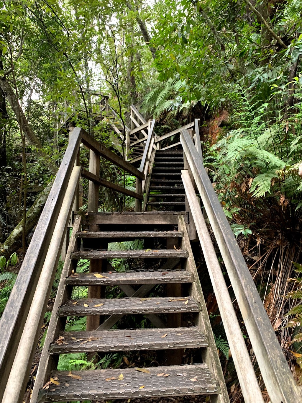 Somersby Falls picnic area | Somersby Falls Rd, Somersby NSW 2250, Australia | Phone: (02) 4320 4200