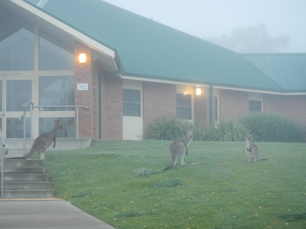 Saint Martins College | university | 382 Dargin Way, Charles Sturt University, Wagga Wagga NSW 2678, Australia | 0269334966 OR +61 2 6933 4966