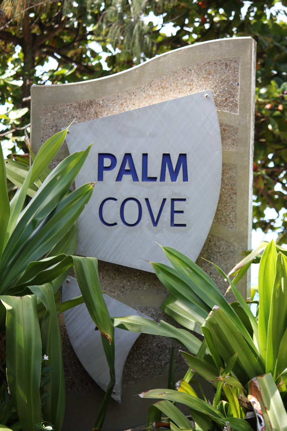 Ocean Health Clinic | health | 8&21, 111-117 Williams Esplanade, Palm Cove QLD 4879, Australia | 0423553140 OR +61 423 553 140