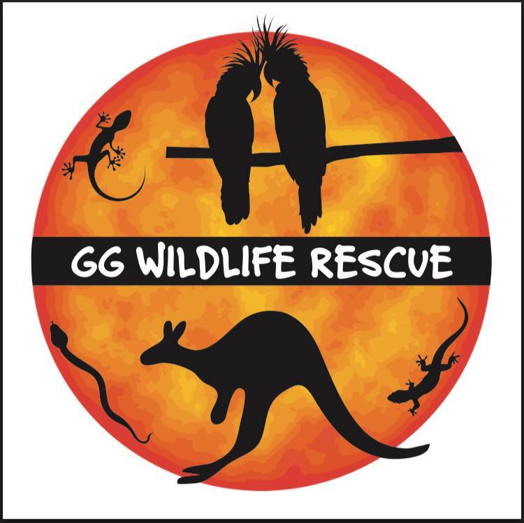 WA Wildlife Displays & GG Wildlife Rescue INC | 1199 Allanooka Springs Rd, Mount Hill WA 6528, Australia | Phone: 0401 272 608