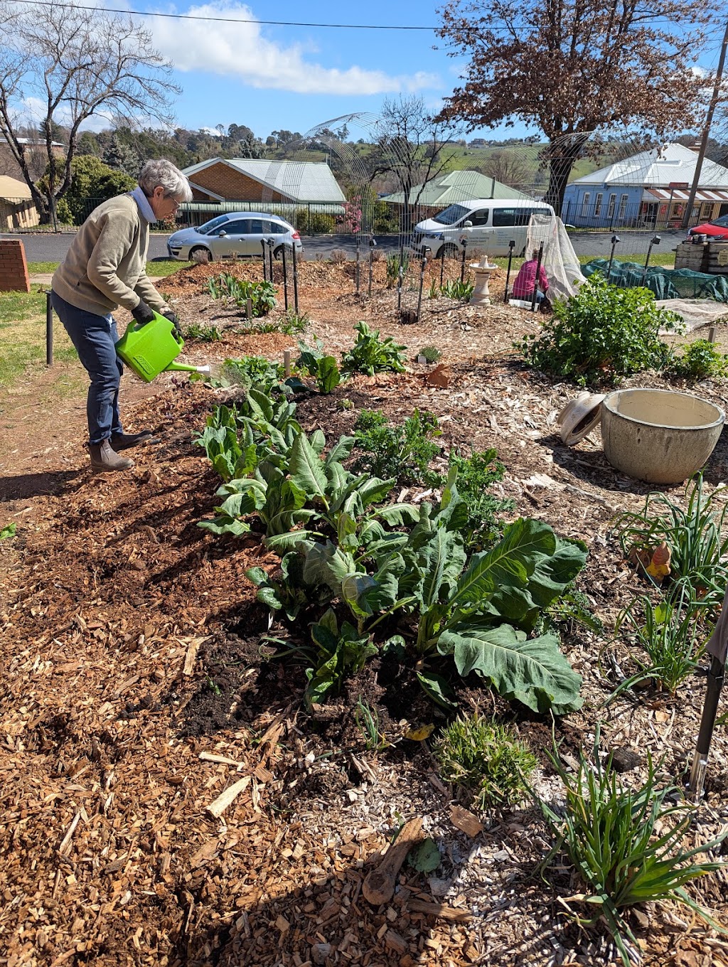 Harvest Haven Community Garden | 58 Murray St, Tumbarumba NSW 2653, Australia | Phone: 0429 654 734