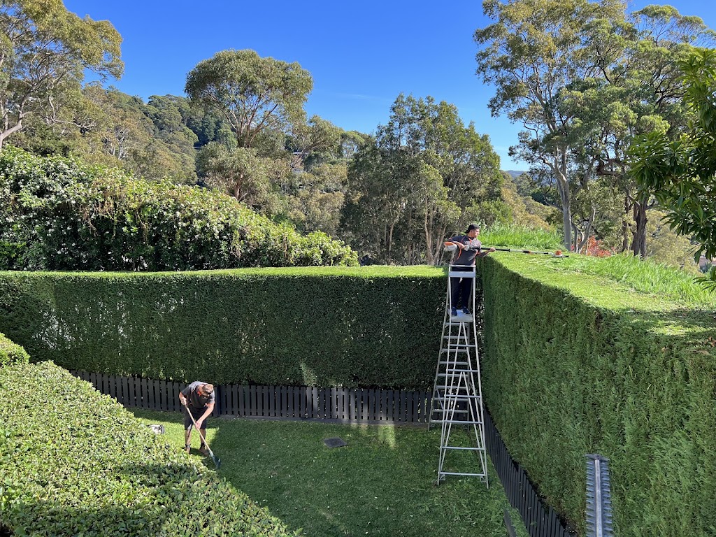 Tranquil Gardens Group | 256 Barrenjoey Rd, Newport NSW 2106, Australia | Phone: 0422 567 040