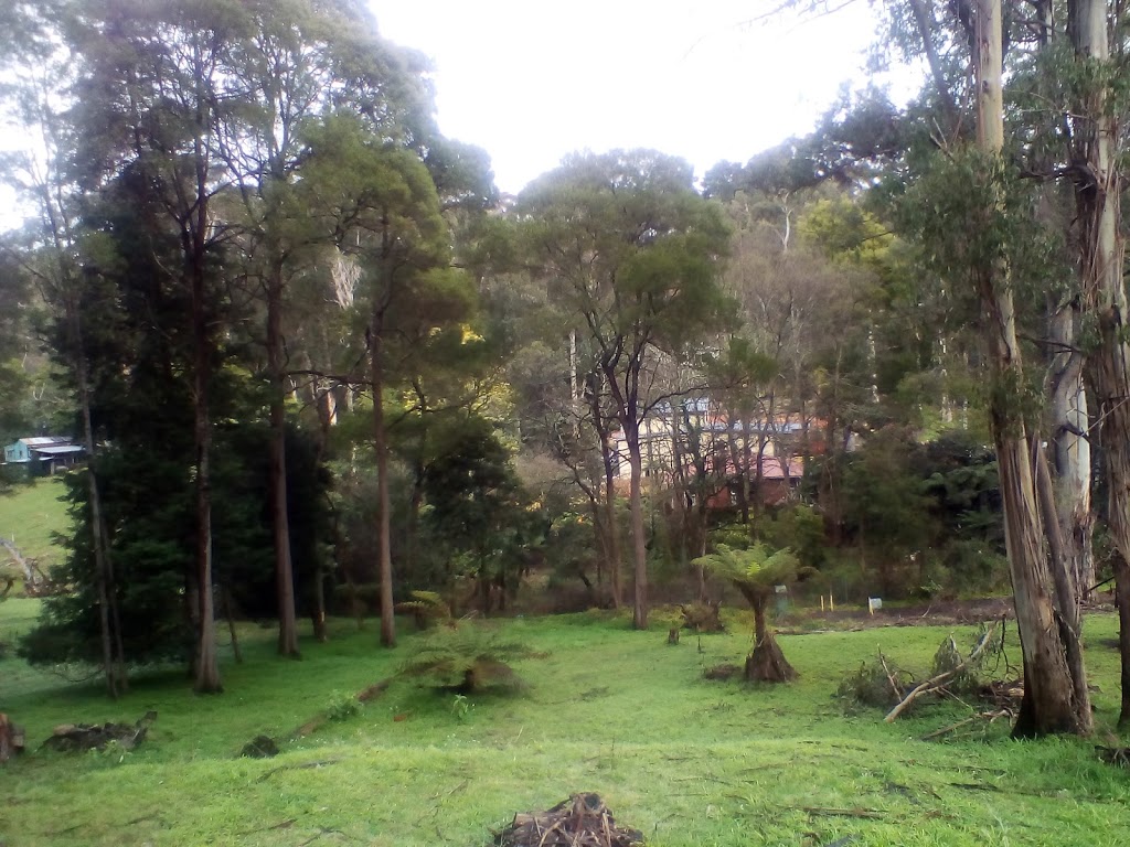 Puffing Billy Railway Station Picnic Area | park | Belgrave VIC 3160, Australia