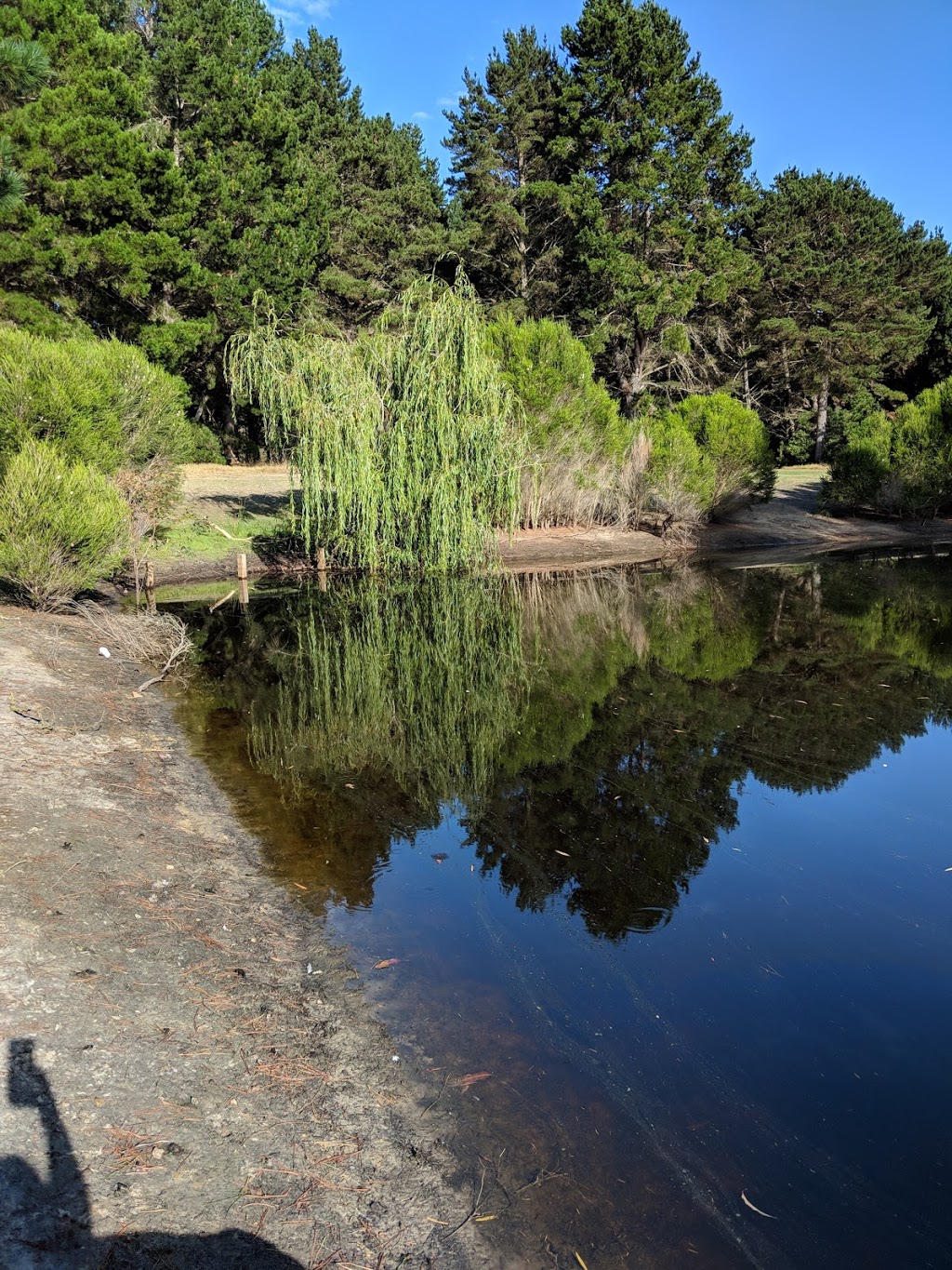 The Pines Lake Park | park | 17 Radiata Dr, McKail WA 6330, Australia