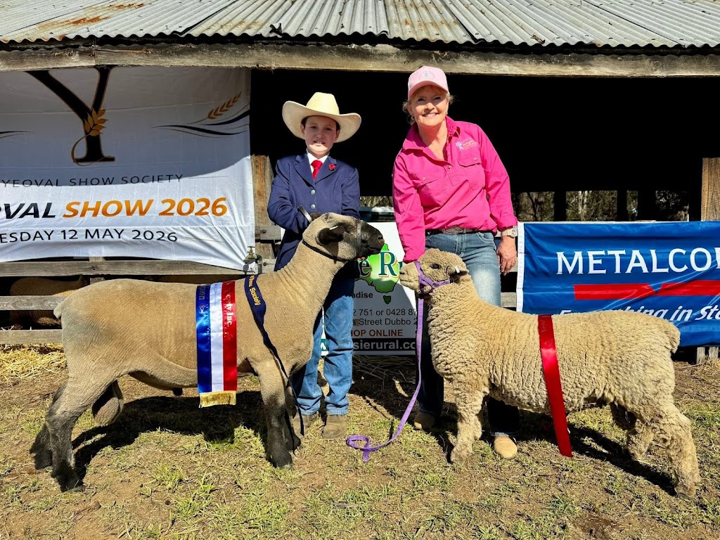 Mimjack Hampshire Down Stud | Greenvale/911 Loombah Rd, Yeoval NSW 2868, Australia | Phone: 0427 464 333