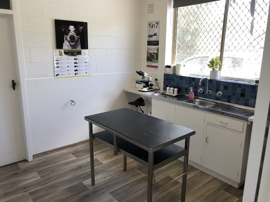 Barossa Veterinary Service | 32 Mildred St, Kapunda SA 5373, Australia | Phone: (08) 8566 2301