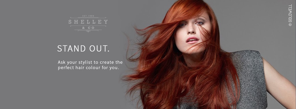 Shelley and Co | hair care | 129 Kennedy St, Picnic Point NSW 2213, Australia | 0297723559 OR +61 2 9772 3559
