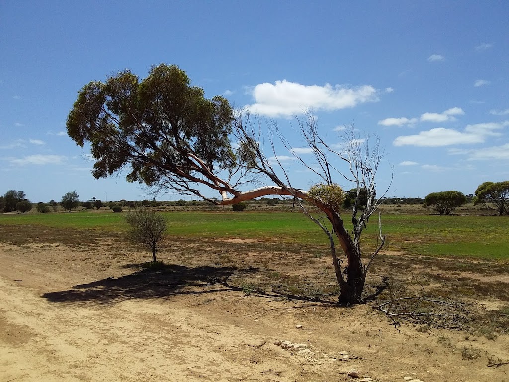 Ceduna Golf Course | Ceduna SA 5690, Australia | Phone: (08) 8625 2826