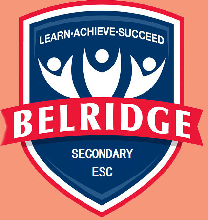 Belridge Secondary Education Support Centre | school | 17 Gwendoline Dr, Beldon WA 6027, Australia | 0894088050 OR +61 8 9408 8050