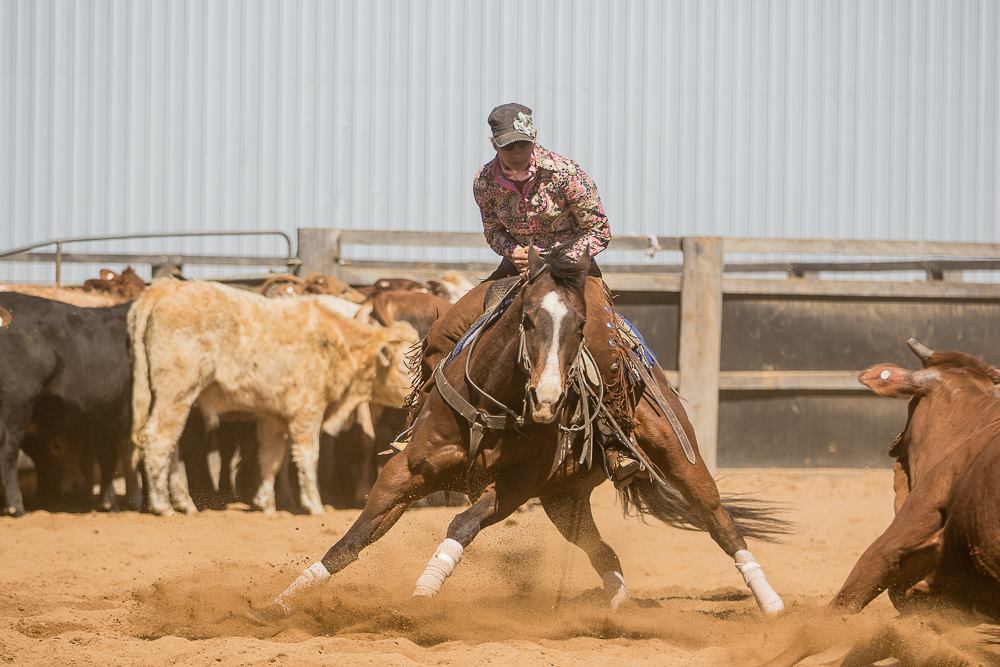 JR Cutting & Performance Horses |  | 682 Old Mount Beppo Rd, Toogoolawah QLD 4313, Australia | 0432411257 OR +61 432 411 257