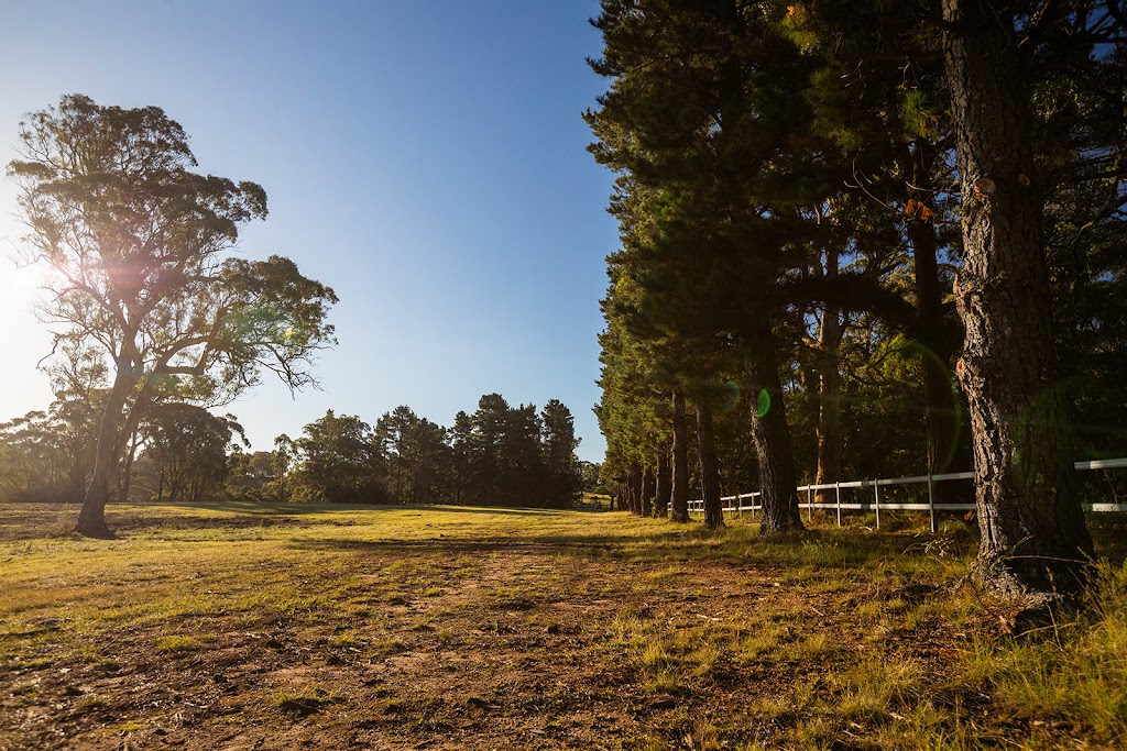 Southern Highlands Addiction Rehab | 2261 Tugalong Rd, Canyonleigh NSW 2577, Australia | Phone: 0485 880 816