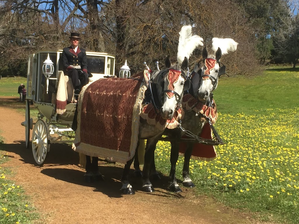 Perth Horse and Carriage |  | 497 Young Rd, Baldivis WA 6171, Australia | 0411431917 OR +61 411 431 917